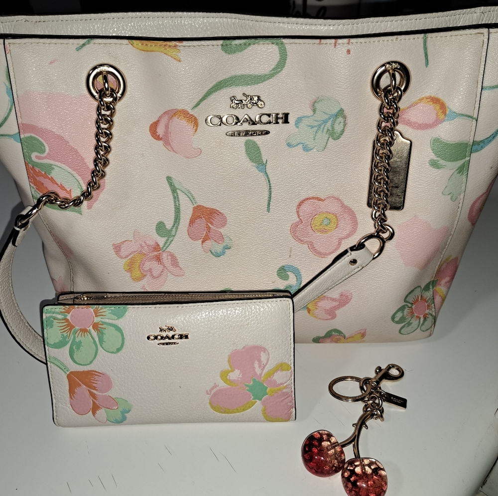 Coach purse set